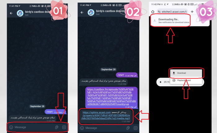 ربات دانلود از کست باکس birdycastboxbot